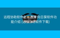 远程协助软件怎么选择 向日葵软件功能介绍 (远程协助软件下载)