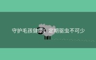 守护毛孩健康：定期驱虫不可少