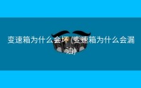 变速箱为什么会坏 (变速箱为什么会漏油)