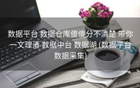 数据平台 数据仓库傻傻分不清楚 带你一文理清 数据中台 数据湖 (数据平台数据采集)
