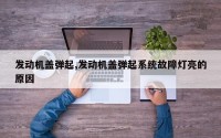 发动机盖弹起,发动机盖弹起系统故障灯亮的原因