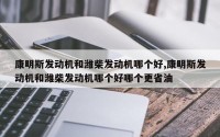 康明斯发动机和潍柴发动机哪个好,康明斯发动机和潍柴发动机哪个好哪个更省油