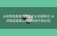 从政策层面看科技型企业发展路径 (从政策层面看幼儿园班级环境创设)