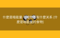 什麼是暗能量 与暗物质有什麼关系 (什麼是暗能量的食物)