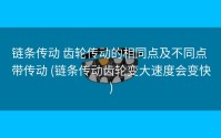 链条传动 齿轮传动的相同点及不同点 带传动 (链条传动齿轮变大速度会变快)