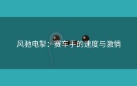 风驰电掣：赛车手的速度与激情