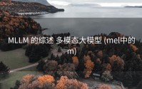 MLLM 的综述 多模态大模型 (mel中的m)