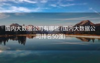 国内大数据公司有哪些 (国内大数据公司排名50强)