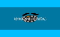暗物质其他 (暗物质的)