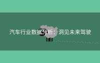 汽车行业数据分析：洞见未来驾驶