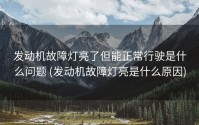 发动机故障灯亮了但能正常行驶是什么问题 (发动机故障灯亮是什么原因)