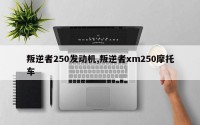 叛逆者250发动机,叛逆者xm250摩托车
