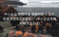 中小企业 专精特新 专精特新 小巨人 和单项冠军区别解析！ (中小企业专精特新评定办法)
