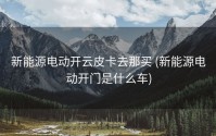 新能源电动开云皮卡去那买 (新能源电动开门是什么车)