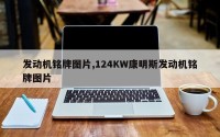 发动机铭牌图片,124KW康明斯发动机铭牌图片