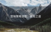 营销策略调整：破局之道