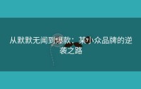 从默默无闻到爆款：某小众品牌的逆袭之路