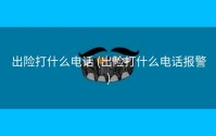 出险打什么电话 (出险打什么电话报警)