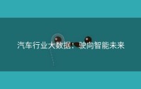 汽车行业大数据：驶向智能未来