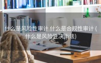 什么是风险性审计 什么是合规性审计 (什么是风险性决策法)