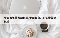 中国有矢量发动机吗,中国有自己的矢量发动机吗