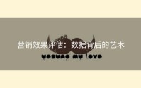 营销效果评估：数据背后的艺术