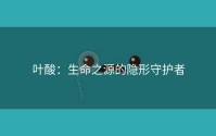 叶酸：生命之源的隐形守护者