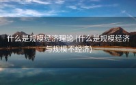什么是规模经济理论 (什么是规模经济与规模不经济)