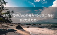 详解 所受应力如何分布 带传动工作时 (应力受力图)