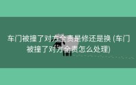 车门被撞了对方全责是修还是换 (车门被撞了对方全责怎么处理)