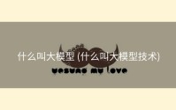 什么叫大模型 (什么叫大模型技术)