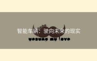 智能车辆：驶向未来的现实