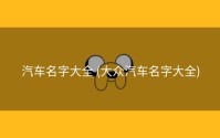 汽车名字大全 (大众汽车名字大全)