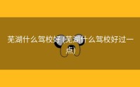 芜湖什么驾校好 (芜湖什么驾校好过一点)