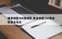 维多利亚300发动机,维多利亚300发动机多少马力