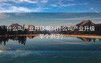 什么叫产业升级啊? (什么叫产业升级举个例子)