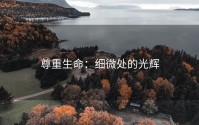 尊重生命：细微处的光辉