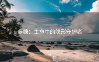 多糖：生命中的隐形守护者