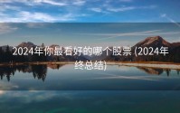 2024年你最看好的哪个股票 (2024年终总结)