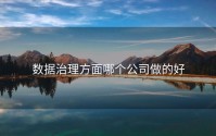 数据治理方面哪个公司做的好