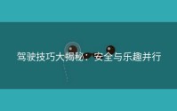 驾驶技巧大揭秘：安全与乐趣并行