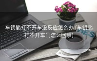 车钥匙打不开车没反应怎么办 (车钥匙打不开车门怎么回事)