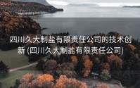 四川久大制盐有限责任公司的技术创新 (四川久大制盐有限责任公司)