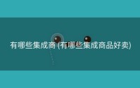 有哪些集成商 (有哪些集成商品好卖)