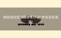 维修自动变速箱哪家好 (维修自动变速箱)