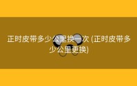 正时皮带多少公里换一次 (正时皮带多少公里更换)