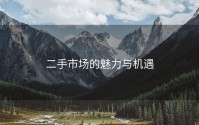二手市场的魅力与机遇