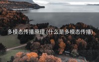 多模态传播原理 (什么是多模态传播)