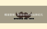 精准营销：数据驱动的商业新纪元
