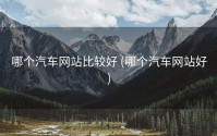 哪个汽车网站比较好 (哪个汽车网站好)